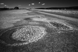 <b>»ECOLOGICAL TRUTH 2017«</b> Srbija, Slovenija, Bolgarija